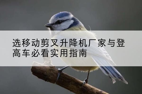 东胜电动升降机厂家-选移动剪叉升降机厂家与登高车必看实用指南