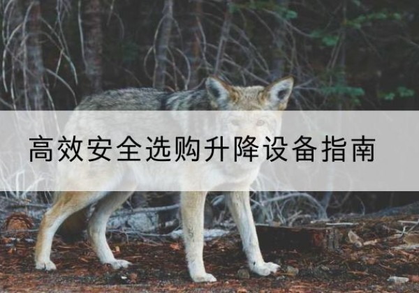 东胜升降货梯厂家推荐-*安全选购升降设备指南