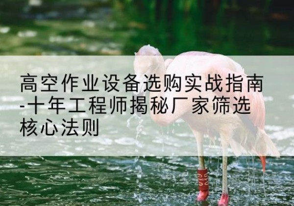 东胜剪叉式升降机厂家-高空作业设备选购实战指南-十年工程师揭秘厂家筛选核心法则
